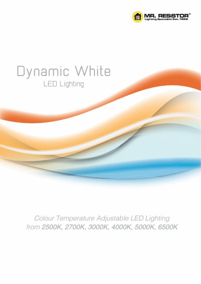 Dynamic White Lighting catalogue