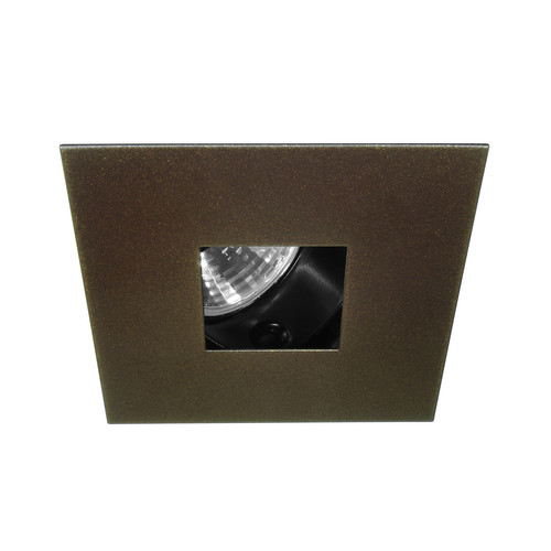 Adjustable Pinhole Square 12V 50W Bronze