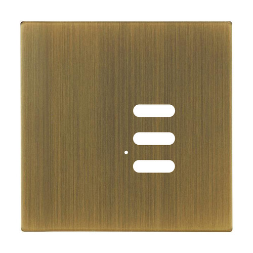 Wise Intense Antique Brass Plate