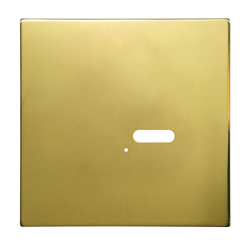 Wise Intense Polished Brass Plate