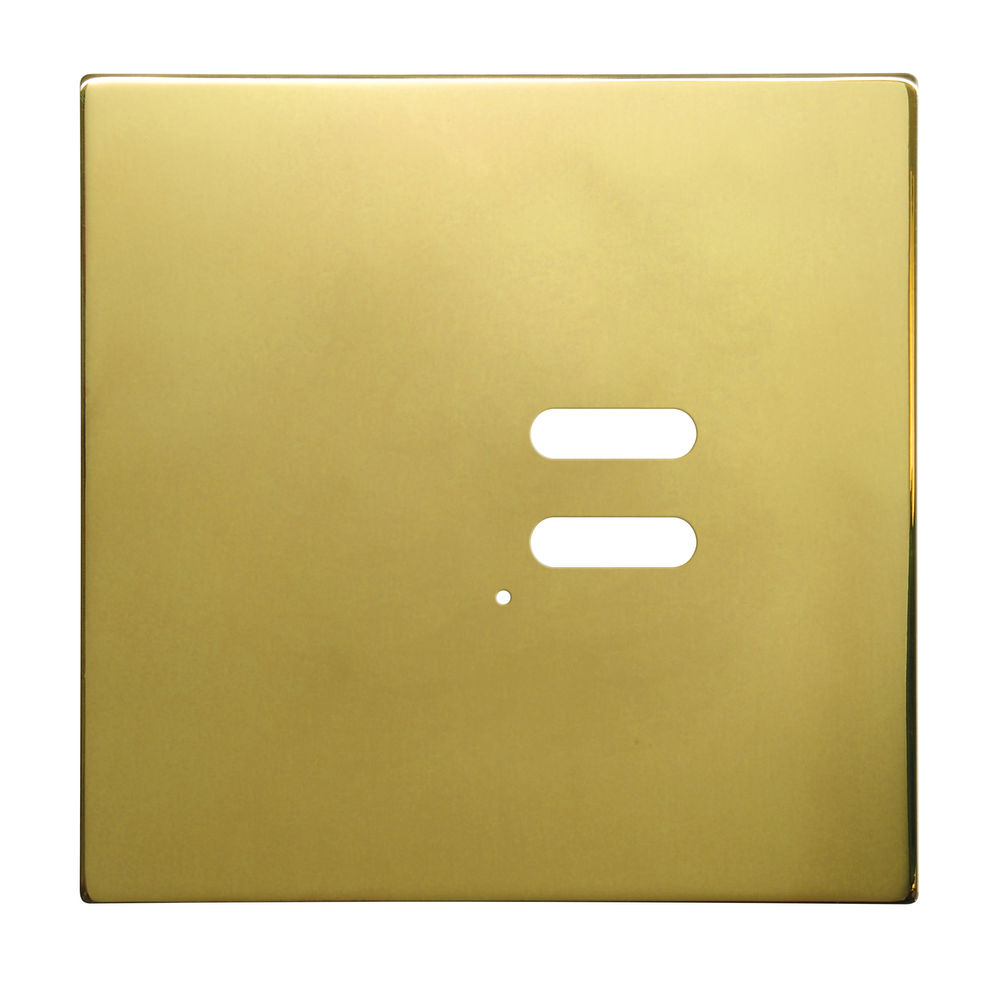 Wise Intense Polished Brass Plate