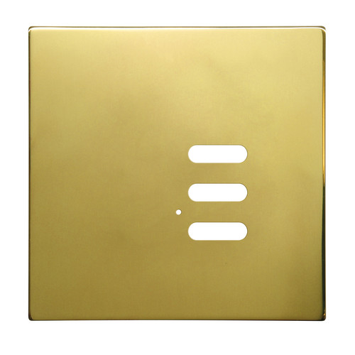 Wise Intense Polished Brass Plate