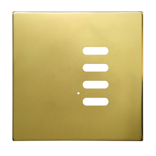 Wise Intense Polished Brass Plate