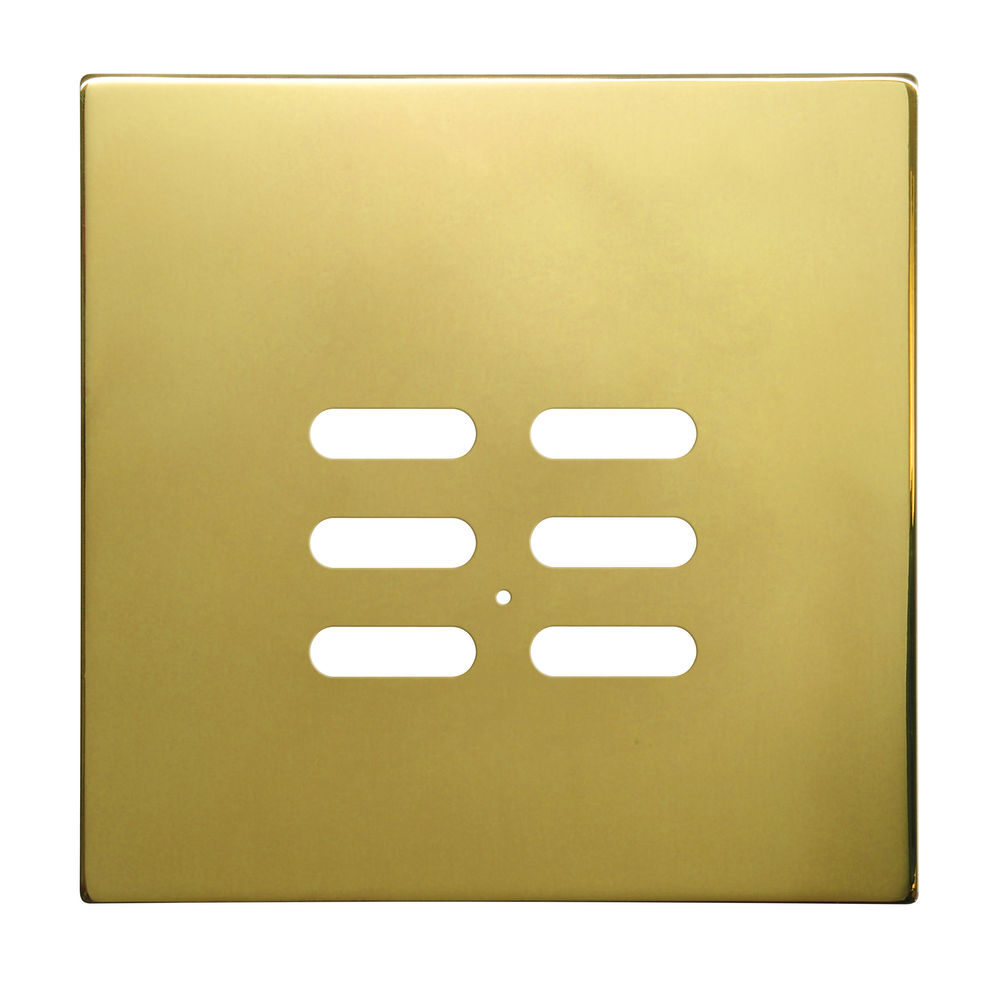 Wise Intense Polished Brass Plate