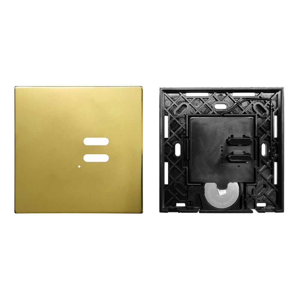 Wise Switch 2 Channel Polished Brass 3V