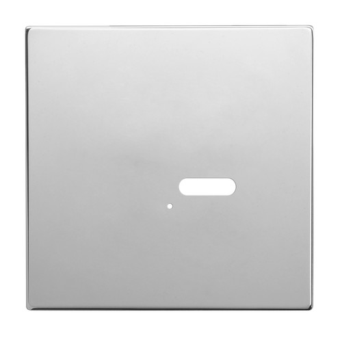 Wise Intense Polished Stainless Steel Plate
