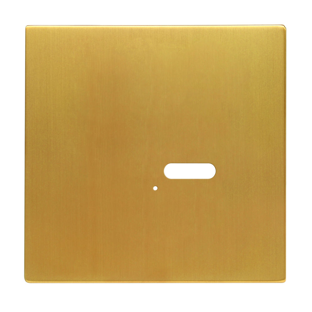 Wise Intense Satin Brass Plate