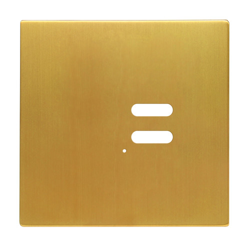 Wise Intense Satin Brass Plate