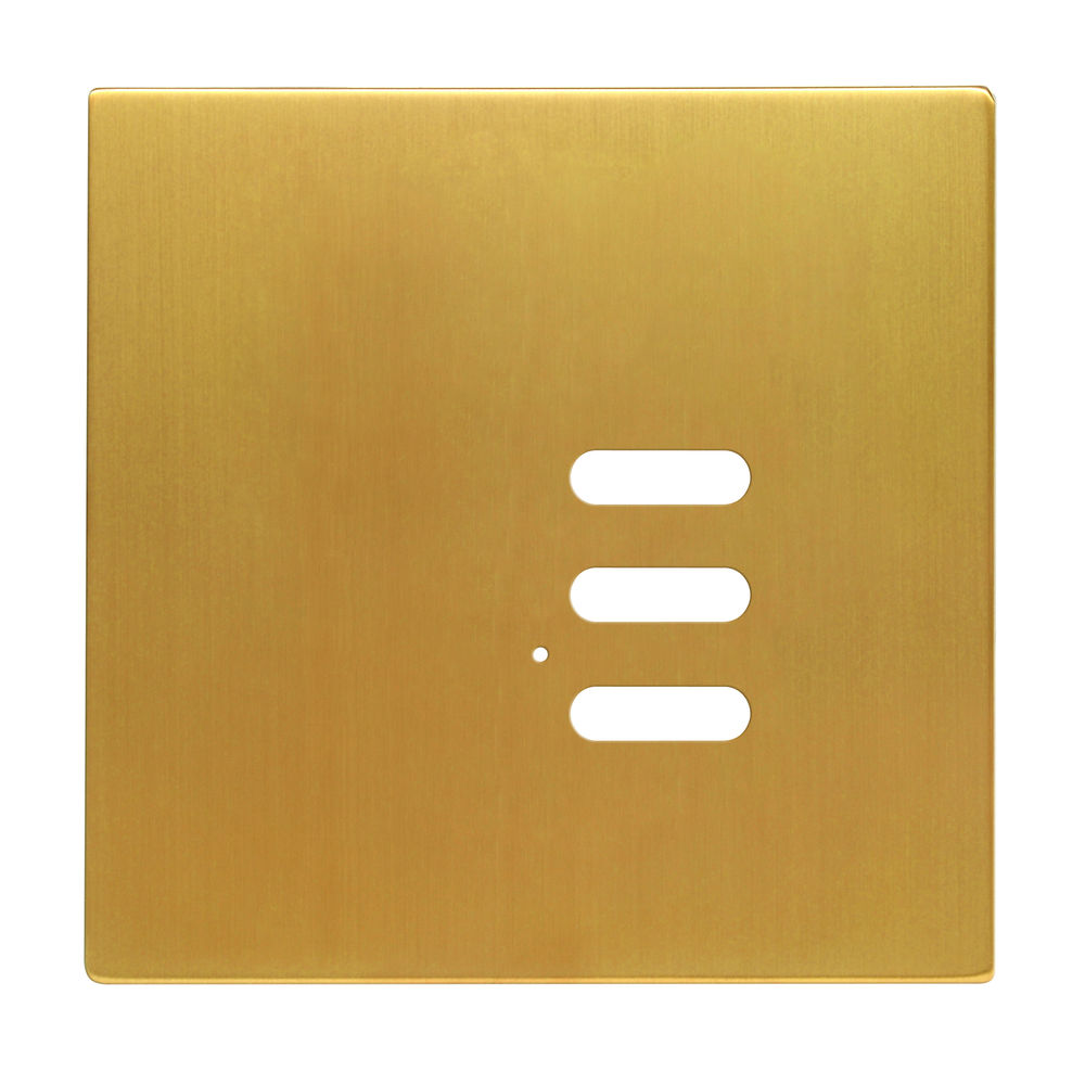 Wise Intense Satin Brass Plate