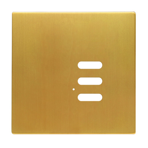 Wise Intense Satin Brass Plate