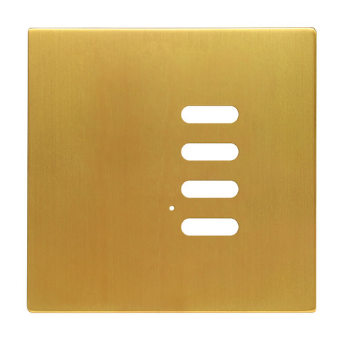 Wise Intense Satin Brass Plate