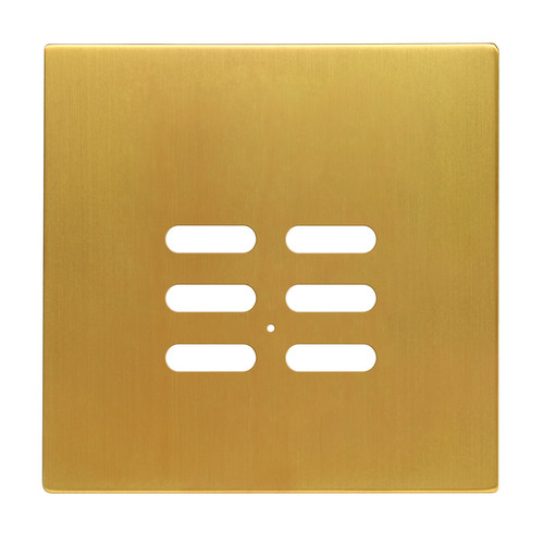 Wise Intense Satin Brass Plate