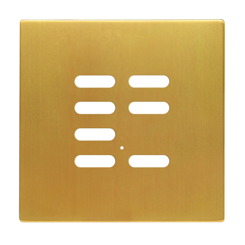 Wise Intense Satin Brass Plate