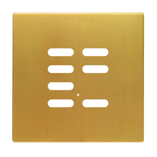 Wise Intense Satin Brass Plate