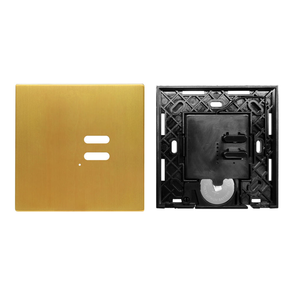 Wise Switch 2 Channel Satin Brass 3V