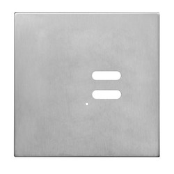 Wise Intense Satin Stainless Plate
