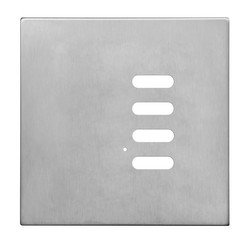 Wise Intense Satin Stainless Plate