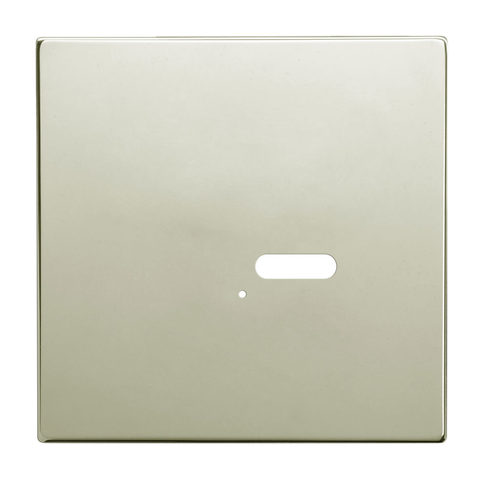 Wise Intense Polished Nickel Plate