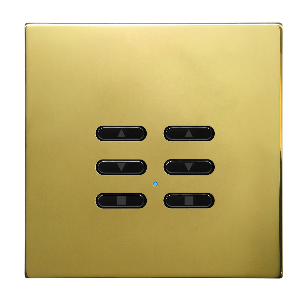 Wise Fusion Smart Dimmer Slave Wireless 2 Gang Polished Brass 3V