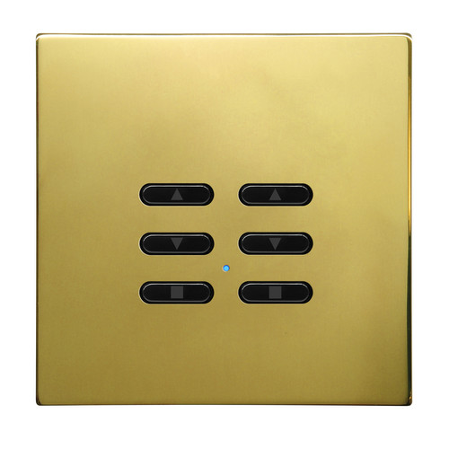 Wise Fusion Smart Dimmer Slave Wireless 2 Gang Polished Brass 3V