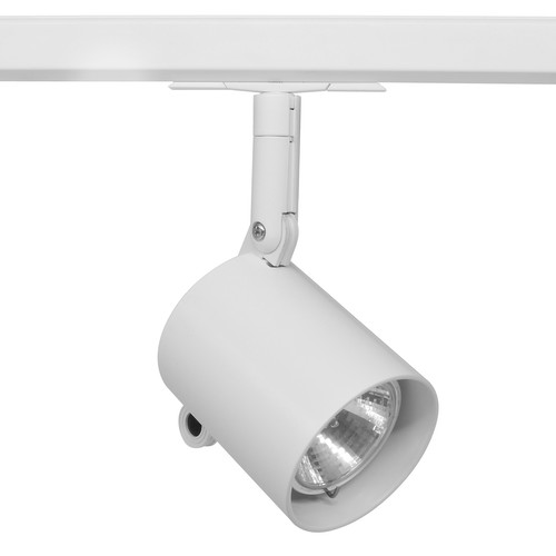 Professional 12V 50W White