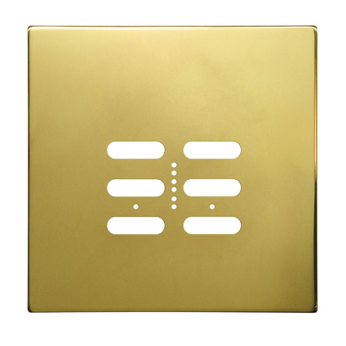 Wise Fusion Plate 2 Gang Plate Polished Brass