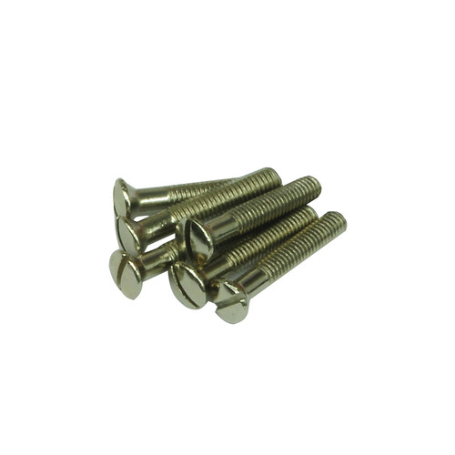 Screw Nickel 25MM