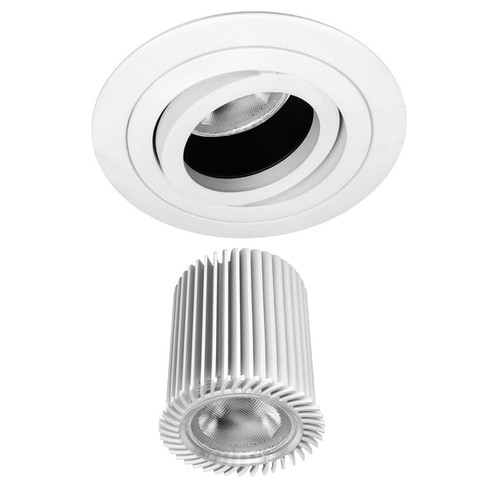 Rock 'n' Roll Adjustable Downlight RGB LED Module 9W RGB White
