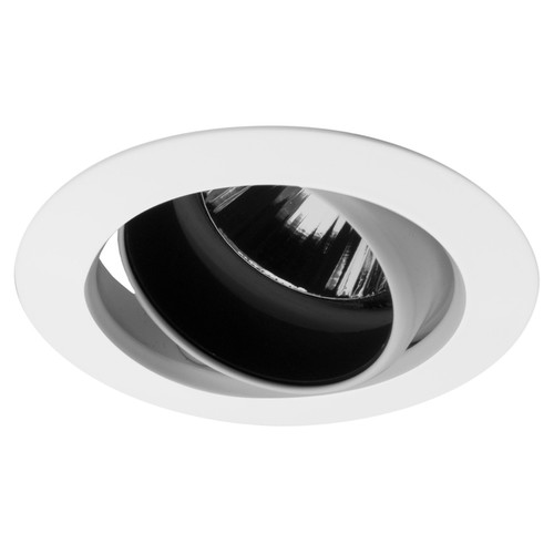 Adjustable Downlight 50 12V 50W White