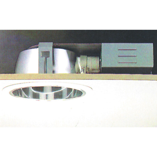 Nuclear Cat 1 240V White 18W