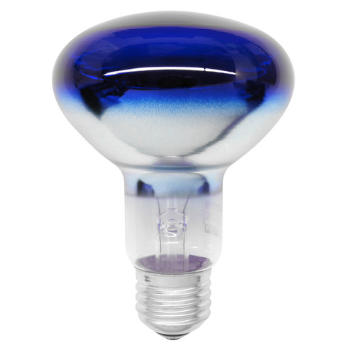 ES Diffused Reflector Lamps 60W Blue