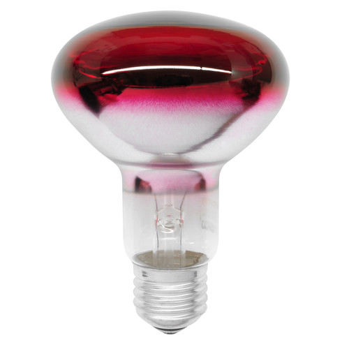 ES Diffused Reflector Lamps 60W Red