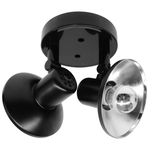 Parabolic Double 240V 2 x 40W Black