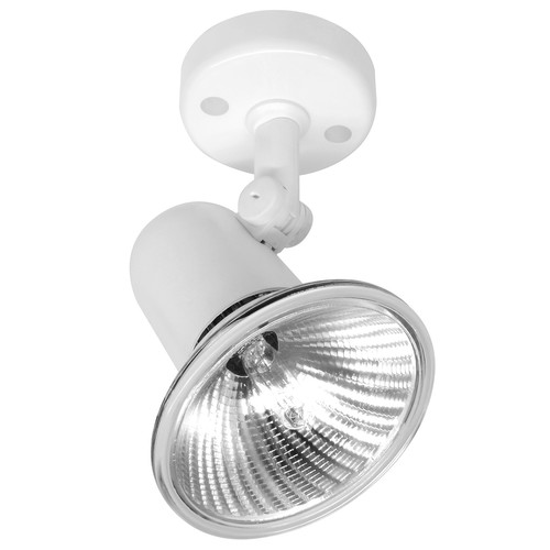 PAR 30 Single 240V 100W White