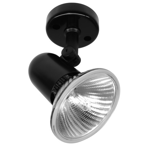 PAR 30 Single 240V 100W Black