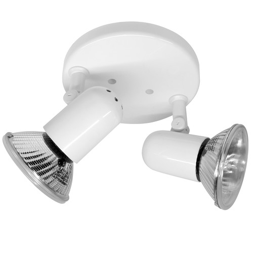 PAR 30 Double 240V 2 x 100W White