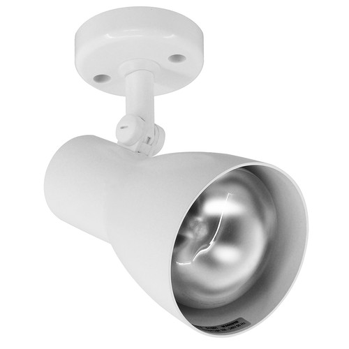 Big Nose Spotlight PAR25 240V 100W White