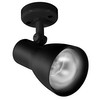 Big Nose Spotlight PAR25 240V 100W Black