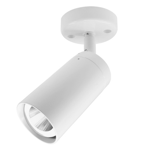 Tube Spotlight GU10 240V 35W White