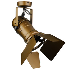 PAR30 Theatre Spotlights + Barn Doors 240V 100W Bronze