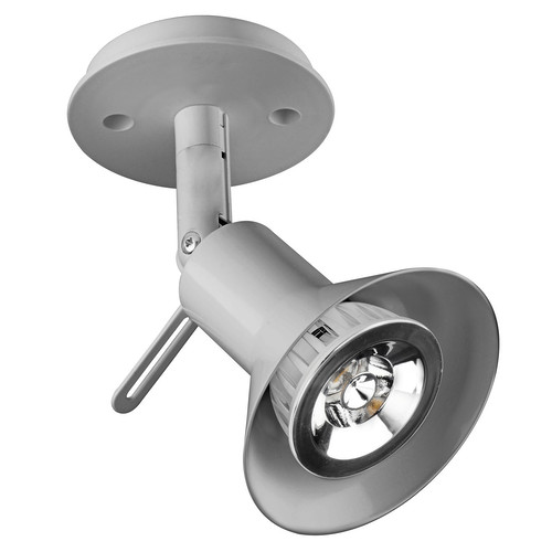 Surfaced Martini Spotlight 240V Silver 50W