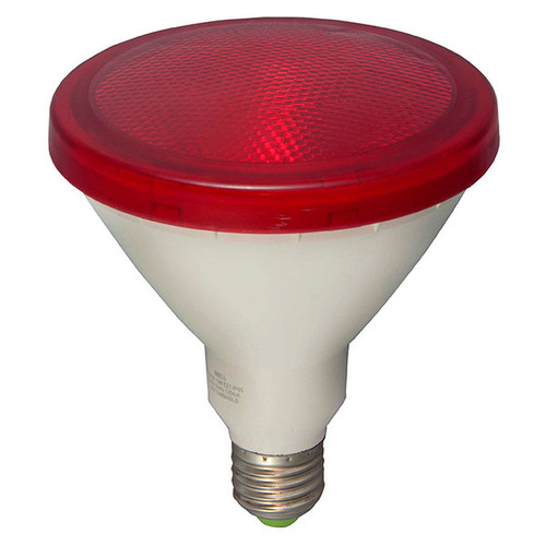 LED PAR38 External Lamp ES 1300lm Switching 15W Red