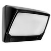 Guide Step Outdoor Low Level Wall Light Black 9W