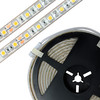 LED Strip Flexible Tape Waterproof IP67 RGB + Warm White 5m (60xSMD 5050 LEDs/m) 24V 96W (1m=19.2W) RGB + 3000K Warm White