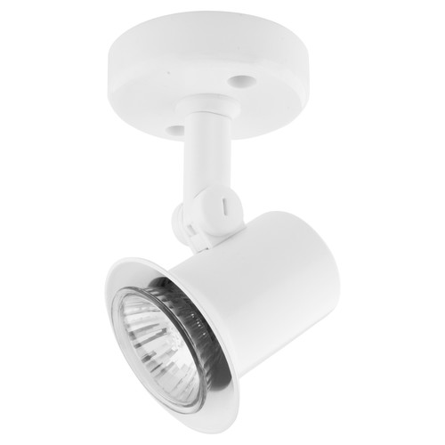 PAR16 Spot 240V 50W White