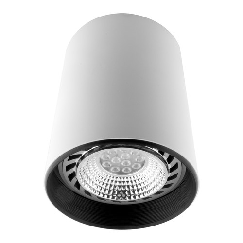 Can Surface Downlight Large White 150W