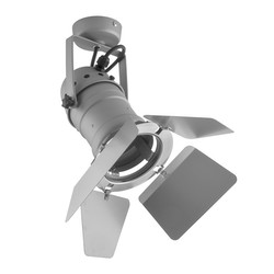 PAR30 Theatre Spotlights+ Barn Doors 240V 100W Silver