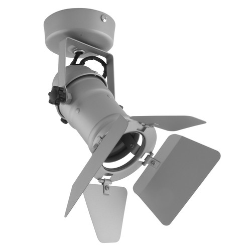 GU10 Theatre Spotlights + Barn Door 240V 50W Silver
