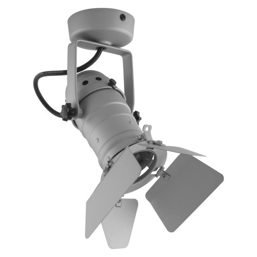 PAR20 Theatre Spotlights + Barn Door 240V 50W Silver