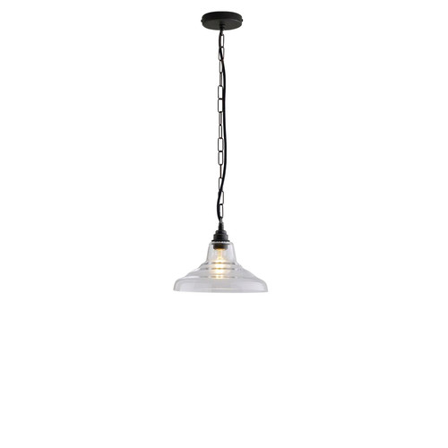 Small Clear Glass School Pendant Clear 60W